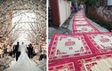 Đám cưới độc nhất Việt Nam: Trải chiếu hoa từ nhà ra ngõ