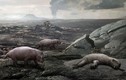 8 cuộc đại tuyệt chủng kinh hoàng suýt “xóa sổ” Trái Đất 