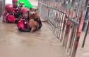 Giải cứu 20 con chó mắc kẹt do mưa lớn ở Trung Quốc