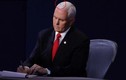 Thế giới dậy sóng vì “ngôi sao ruồi đen” trên tóc ông Mike Pence