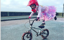 “Quái xế” 4 tuổi đi xe đạp một bánh cực đỉnh