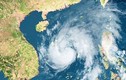 Việt Nam hứng chịu 9-10 cơn bão trong năm nay