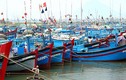 Điểm mặt những ngư trường lớn hốt bạc tại Việt Nam