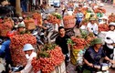 Vải Trung Quốc lan tràn thị trường Việt Nam