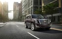 Tận mục Cadillac Escalade Platinum 2015 chỉ dành cho đại gia