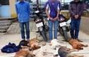 Truy tố đường dây trộm 100 con chó ở Tây Nguyên