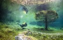Kì thú công viên dưới nước