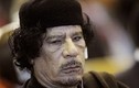 Gaddafi vẫn còn sống?