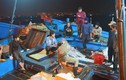 Thương lái TQ lại “chơi bẩn” với thủy sản Việt