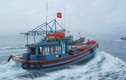 Yêu cầu Trung Quốc thả vô điều kiện tàu cá Việt Nam