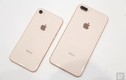 iPhone 8 giảm giá dưới mức 18 triệu đồng
