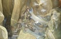 Nuôi con bán Tết: Cá lồng đặc sản sông Đà, xuân nào bán cũng chạy