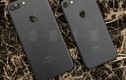 Apple bắt đầu bán iPhone 7 tân trang chỉ rẻ hơn hàng mới 50 USD