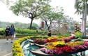 Hồn quê xuất hiện tại “khu nhà giàu” ở Sài Gòn ngày giáp Tết