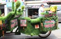 Xe bán trái cây “độc nhất vô nhị” giữa Sài Gòn