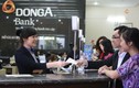 Cựu CEO bị truy tố, lại “nóng” mối quan hệ DongA Bank và PNJ