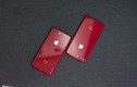 iPhone 8 Plus màu đỏ đầu tiên về VN, giá từ 20,5 triệu đồng