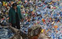 Thế giới lúng túng khi Trung Quốc dừng nhập rác