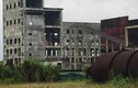 Xót xa nhà máy thép nghìn tỉ ở Hà Tĩnh đắp chiếu bỏ hoang