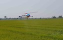 Xem phun thuốc trừ sâu bằng máy bay sang chảnh ở Bắc Ninh