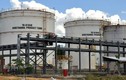 Nhà máy Ethanol Dung Quất "sống lại" nhờ một đại gia xuất nhập khẩu