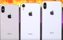 iPhone 2018 giá rẻ nhất chỉ 699 USD