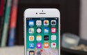 Kiểm tra iPhone 8 có lỗi không để được Apple sửa miễn phí