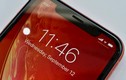 Apple thông báo bán iPhone XR tại Việt Nam ngày 2/11