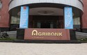 Ngân hàng Nhà nước bảo đảm tiền gửi cho khách hàng tại Agribank