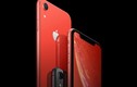 iPhone XR tại Nhật sắp giảm giá mạnh