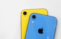 Cách iPhone XR trở nên vô đối khiến nhiều người bất ngờ