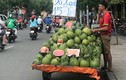 Bưởi da xanh, cam sành giá rẻ đồng loạt "xuống đường" ở Sài Gòn