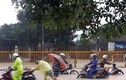 Thủ tướng yêu cầu khắc phục hậu quả mưa lũ Quảng Ninh