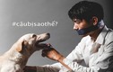 Bộ ảnh về chú chó bị buộc mõm của hotboy Quang Đăng