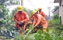 EVN HANOI với công tác đảm bảo an toàn điện mùa bão