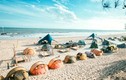 Thiên đường cắm trại biển thu hút giới trẻ Việt