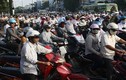 TP HCM dừng thu phí đường bộ đối với xe gắn máy