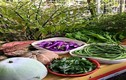 “Phát ghen” với vườn rau 20 loại của nàng dâu Việt ở Malaysia