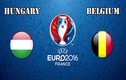 Euro 2016 Hungary - Bỉ: Thách thức với quỷ đỏ 