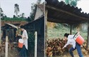 Về quê cho gà ăn, cô gái Nghệ An bỗng dưng "nổi tiếng"