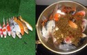 Chàng trai Đà Nẵng gây sốc khi dùng cá Koi nấu ăn