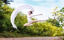 Vũ điệu hoa dã quỳ của vũ công ballet trẻ gây sốt mạng