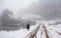 Thực hư chuyện tuyết rơi trắng đỉnh núi ở Nghệ An