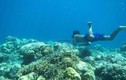 Tộc “người cá” tiến hóa, thích nghi với cuộc sống dưới biển