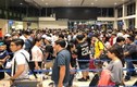 Sân bay Tân Sơn Nhất quá tải, nhiều người ngủ gục chờ check-in