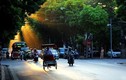 Dự báo thời tiết 31/1: Hà Nội ấm, Sài Gòn oi nóng