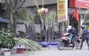 Mía lộc xuất hiện đầy đường phố Hà Nội chiều 30 Tết