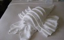 Những "kiệt tác" từ chiếc khăn tắm khiến du khách thích thú