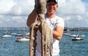 Ngư dân bắt được bạch tuộc quái vật khổng lồ dài 3m