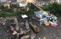 CĐM "phẫn nộ" cảnh dân phượt lên Tam Đảo tránh nóng xả rác bừa bãi